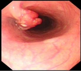 f6b27b7111d72318364a9e9d82273f76.jpg clip_image002.jpg