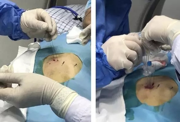 301fa8fdaecd6bdd0b9029767d28043b.jpg 640.webp (1).jpg