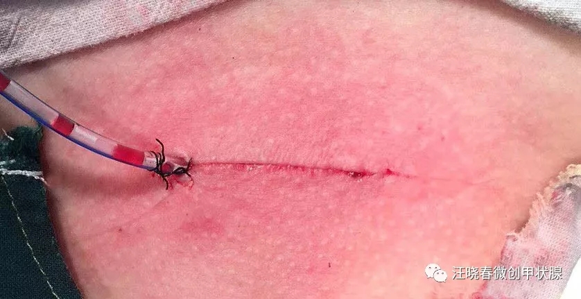 101e87fab0bbb6c9da9eae8d1c83f543.jpg 640.webp (3).jpg