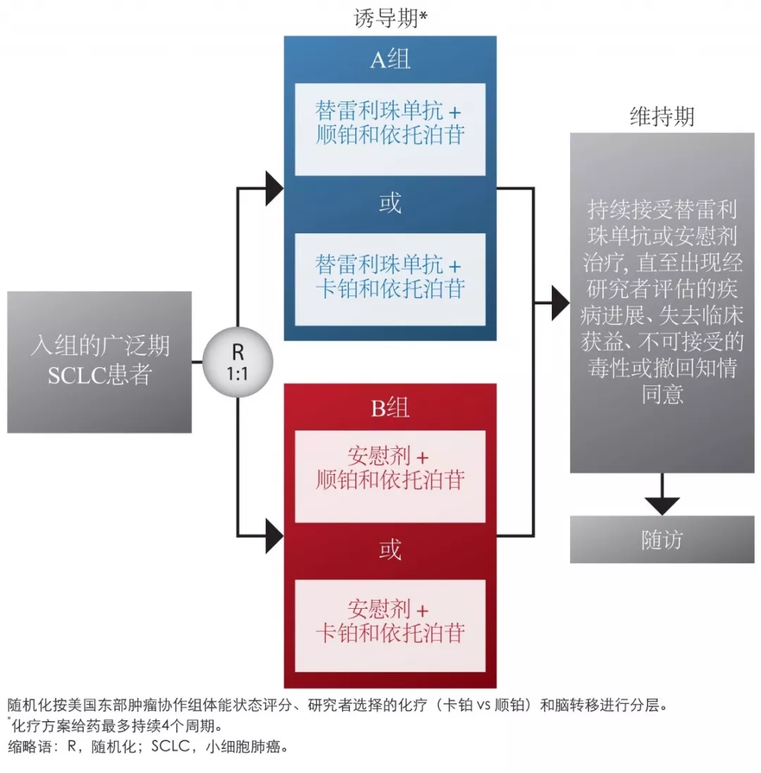 c989f6d47d71dce51ee327648739c20c.jpg 640.webp (3).jpg