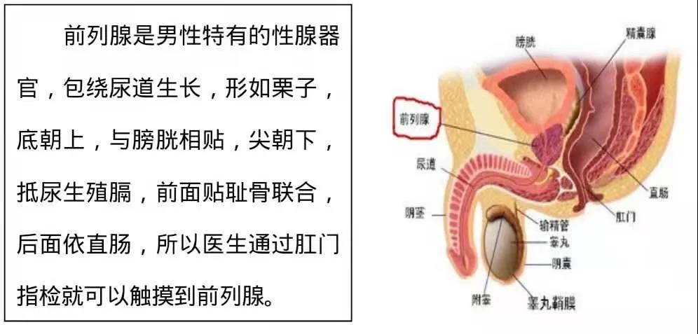 微信图片_20210205211951.jpg