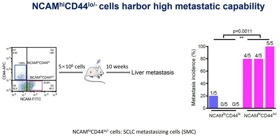 2c4c89c8f7f6fdf88520d3d561dd79f3.jpg 微信图片_20210913182332.jpg
