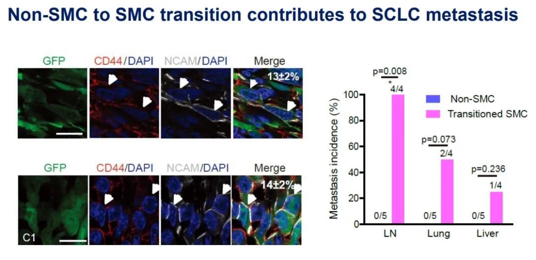 bab310222cc53b4b7d270d52399f9651.jpg 微信图片_20210913182332.jpg